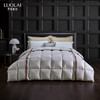 罗莱悦·享 航天白鹅绒春秋被 商品缩略图0
