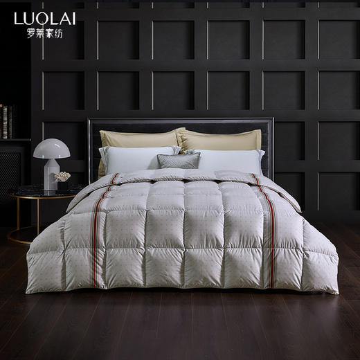 罗莱悦·享 航天白鹅绒春秋被 商品图0