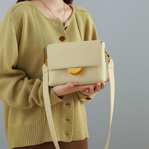 【柔滑小羊纹牛皮】包包2021新款潮Z皮斜挎包女包时尚通勤小包感洋气小方包 商品图13