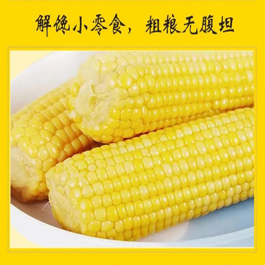 【甄优道·好玉米】200g*8个    小时候妈妈水煮玉米的鲜香~多久没有吃到了 商品图5