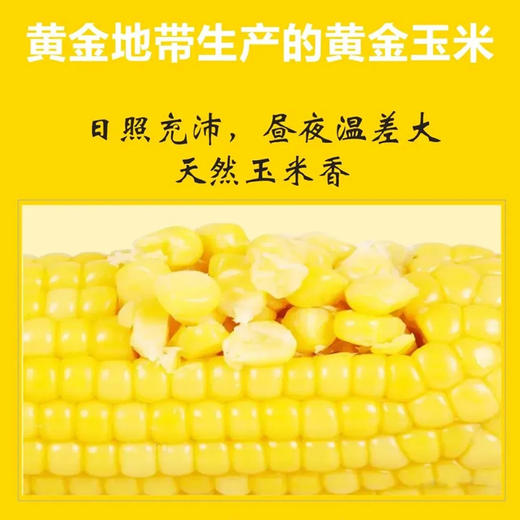 【甄优道·好玉米】200g*8个    小时候妈妈水煮玉米的鲜香~多久没有吃到了 商品图7