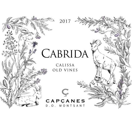 老藤的力量！小众收藏可陈年！一支安静的歌海娜来自单一园———西班牙圣山产区小山羊石灰岩百年老藤歌海娜红葡萄酒1支 商品图1