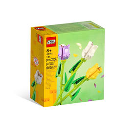 乐高LEGO 郁金香40461