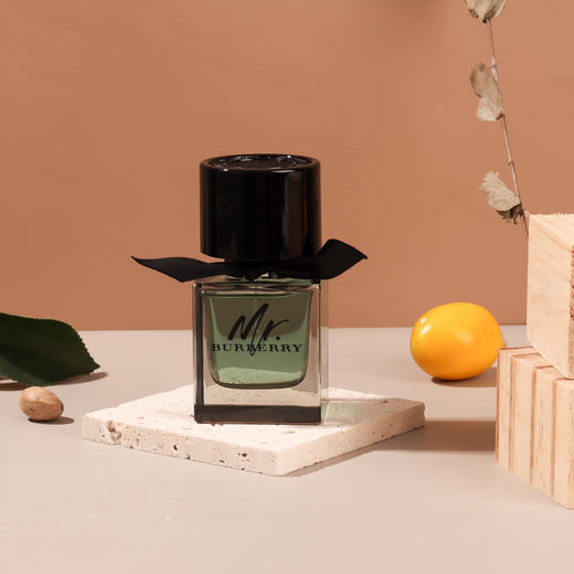 巴宝莉先生 Burberry Mr. Burberry 分装 商品图0