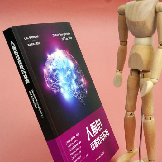 人脑的可塑性与教育 心智 脑与教育译丛 周加仙译丛主编 商品图2