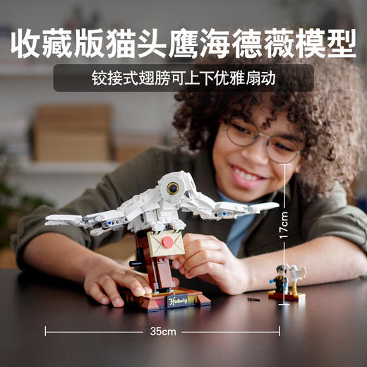 乐高LEGO LEGO 海德薇LEGC75979 商品图1