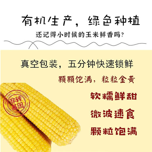【甄优道·好玉米】200g*8个    小时候妈妈水煮玉米的鲜香~多久没有吃到了 商品图4