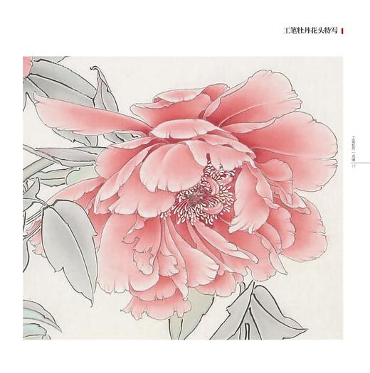 工笔技法精解·工笔牡丹一点通——福建美术出版社 商品图1