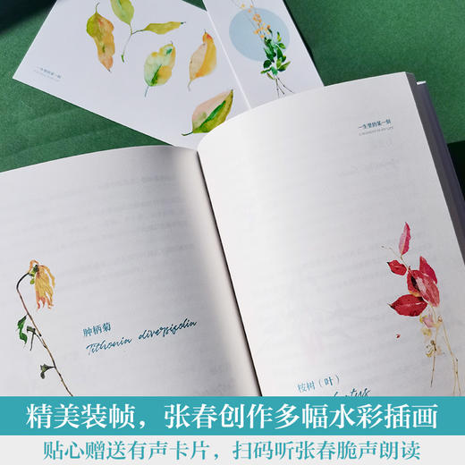 一生里的某一刻 商品图3