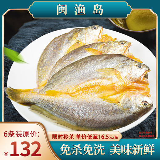 【闽渔岛】霞浦醇香大黄鱼6条 /1800g 商品图0