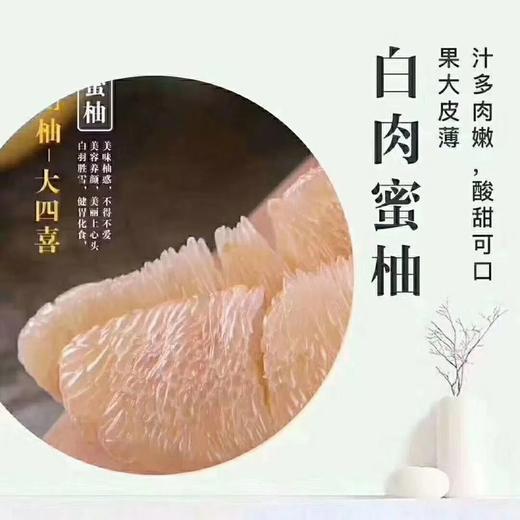 甄源|主推|福建四大名柚黄柚/红柚/三红柚/白柚8.5-9斤4个装纸箱/礼盒（送开果器）（单色柚可选） 商品图3