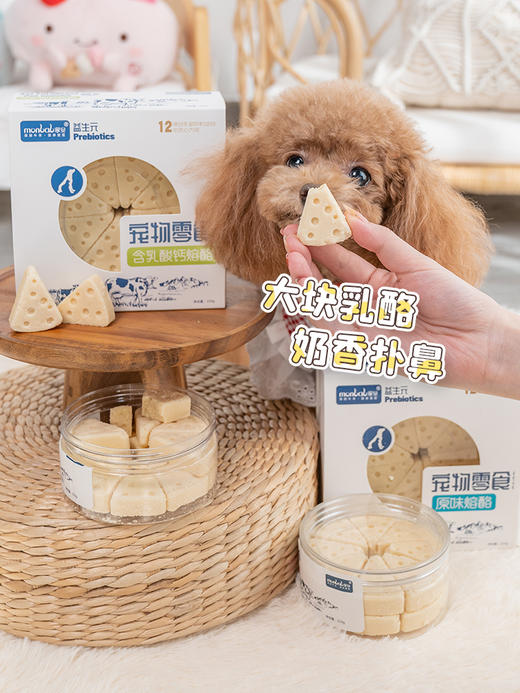 蒙贝冻干熔酪狗狗猫咪零食奶酪块小型犬泰迪磨牙棒布丁补钙宠物奶酪棒 商品图2