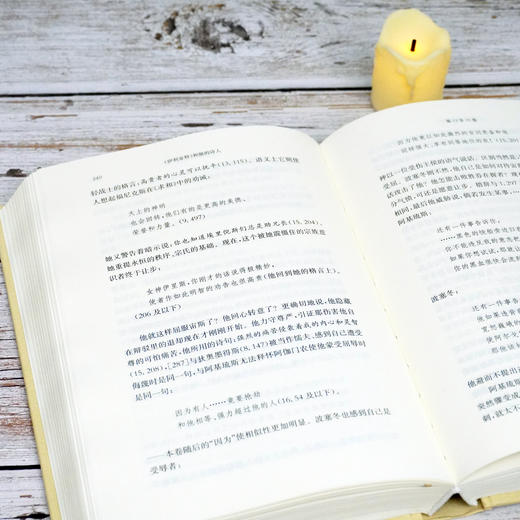 伊利亚特和她的诗人 古典学丛编 西方传统经典与解释 卡尔莱因哈特 荷马考据 古典语文学 华东师范大学出版社 商品图3