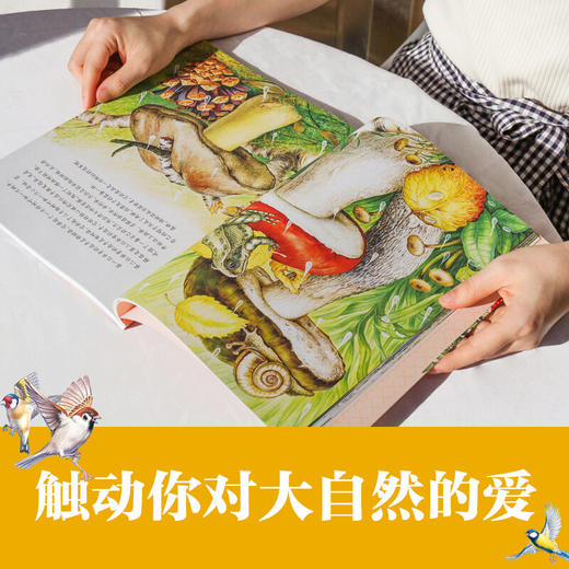 大自然里的故事系列 商品图5