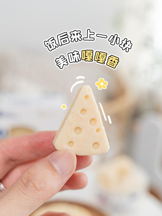 蒙贝冻干熔酪狗狗猫咪零食奶酪块小型犬泰迪磨牙棒布丁补钙宠物奶酪棒 商品图3