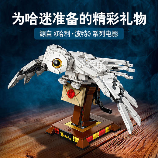 乐高LEGO LEGO 海德薇LEGC75979 商品图3