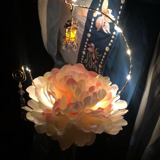 月下小居古风汉服牡丹芙蓉灯笼diy 手提灯笼中国风汉服拍照道具 商品图4