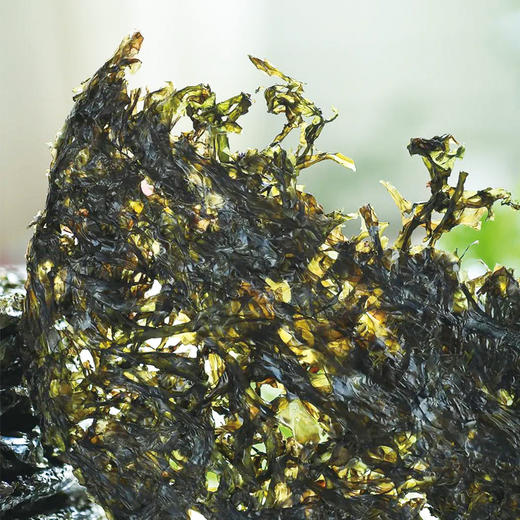 CY-霞浦海洋紫菜50gx3 商品图5