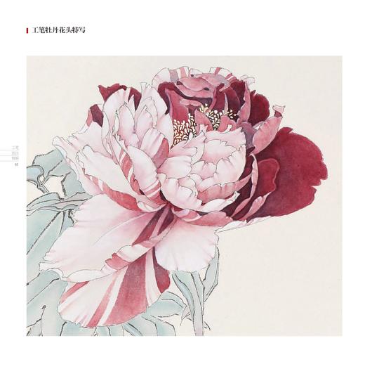 工笔技法精解·工笔牡丹一点通——福建美术出版社 商品图2