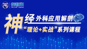 神经外科应用解剖“理论+实战”系列1：颅骨的应用解剖
