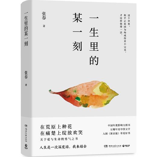 一生里的某一刻 商品图4