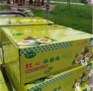 （澎湖湾）红心猕猴桃普盒60-80g*24枚/盒 商品图2