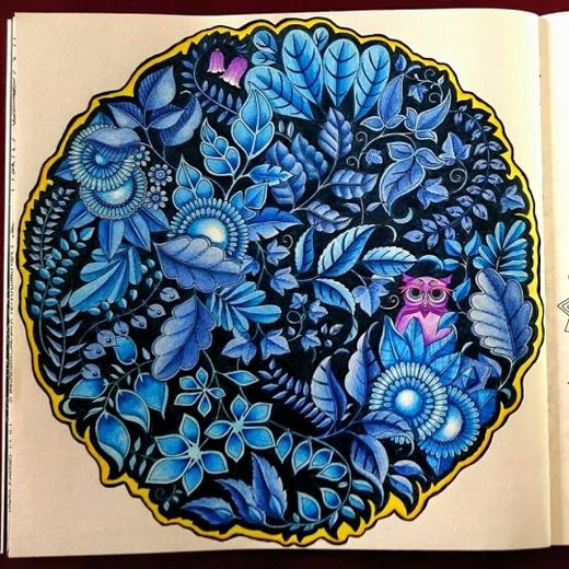 【套装】魔法森林+秘密花园48色彩色铅笔 商品图11
