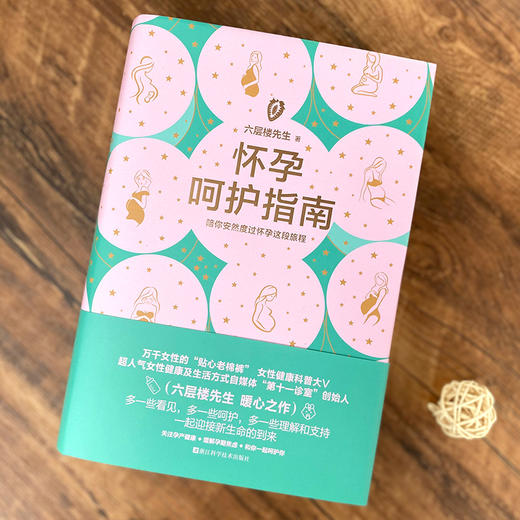 怀孕呵护指南  六层楼先生陪你安然度过怀孕旅程 商品图3