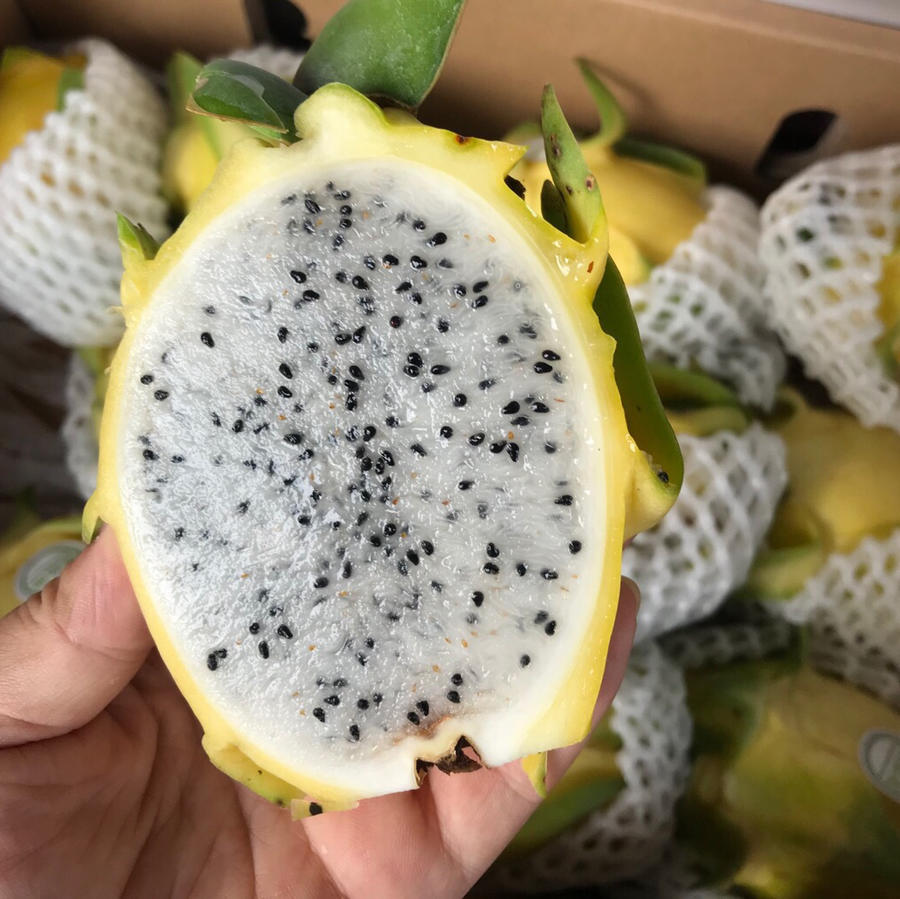 黄金火龙果 细嫩多汁酸甜可口【6-10个装】毛重约9斤,广西包邮