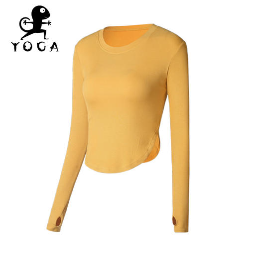 壁虎瑜伽【2109SY110】圆领高弹瑜伽长袖（有胸垫）【5天发货】 商品图11