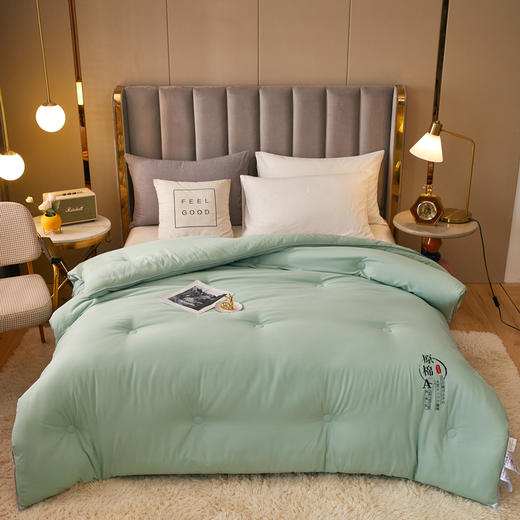 A类全棉大豆纤维被子冬被春秋被夏季空调被夏凉被芯四季通用单人双人棉被 商品图4
