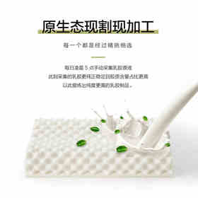 瑞吉欧马来西亚进口纯天然乳胶枕头，新疆西藏等偏远地需补运费差
