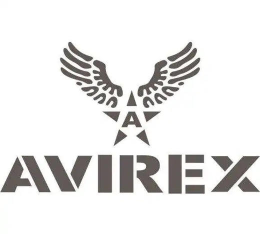 AVIREX -秋季长袖字母男款休闲Ｔ恤 三色正价400左右 商品图2