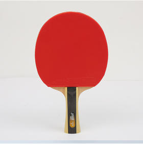 T1002---红双喜横拍双面反胶乒乓球拍