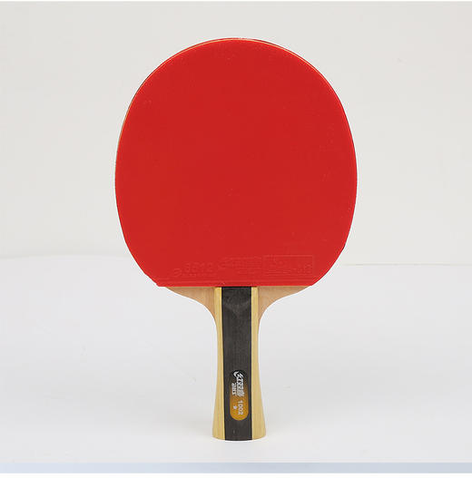 T1002---红双喜横拍双面反胶乒乓球拍 商品图0