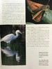 不列颠群岛自然史 约200幅插图 精装16开 商品缩略图8