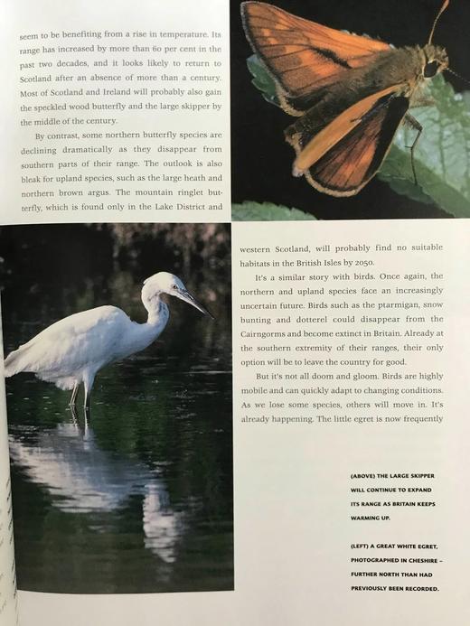 不列颠群岛自然史 约200幅插图 精装16开 商品图8