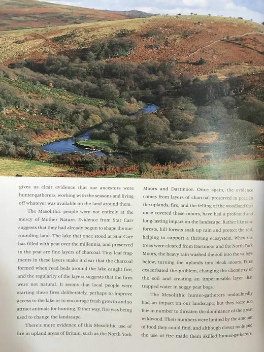 不列颠群岛自然史 约200幅插图 精装16开 商品图13