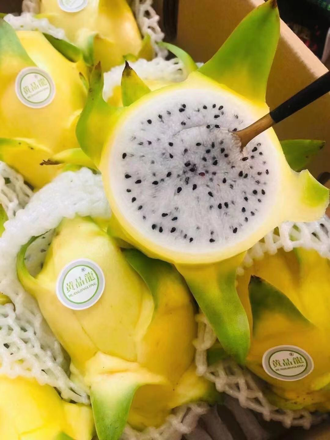 黄金火龙果 细嫩多汁酸甜可口【6-10个装】毛重约9斤,广西包邮