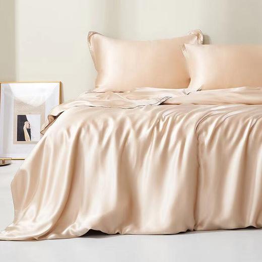 太湖雪宽幅纯色真丝四件套 商品图0