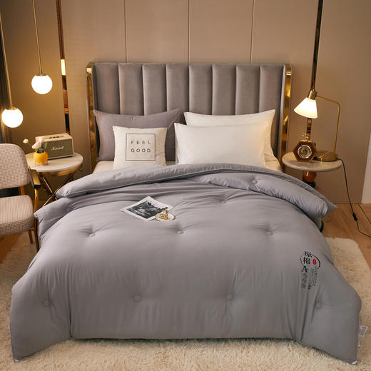 A类全棉大豆纤维被子冬被春秋被夏季空调被夏凉被芯四季通用单人双人棉被 商品图7