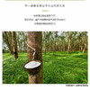 瑞吉欧马来西亚进口纯天然乳胶枕头，新疆西藏等偏远地需补运费差 商品缩略图3