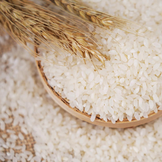 【武汉.东西湖】武供优选生态供米大米5kg 商品图7