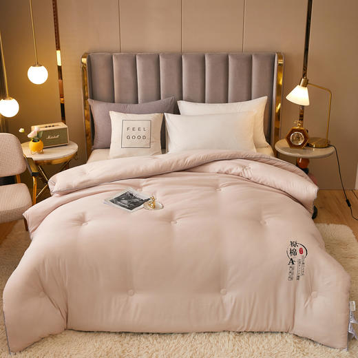 A类全棉大豆纤维被子冬被春秋被夏季空调被夏凉被芯四季通用单人双人棉被 商品图5