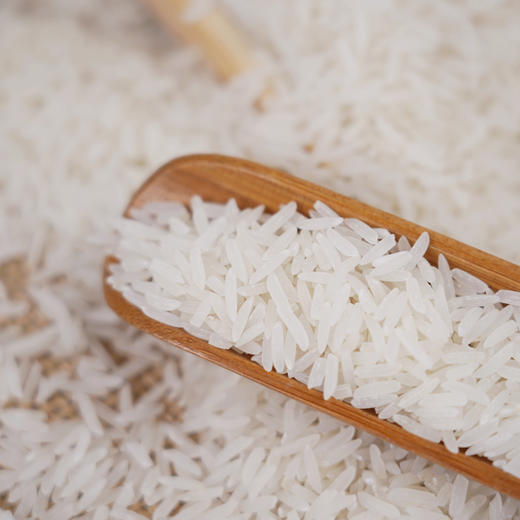 【武汉.东西湖】武供优选营养供米大米5kg 商品图4