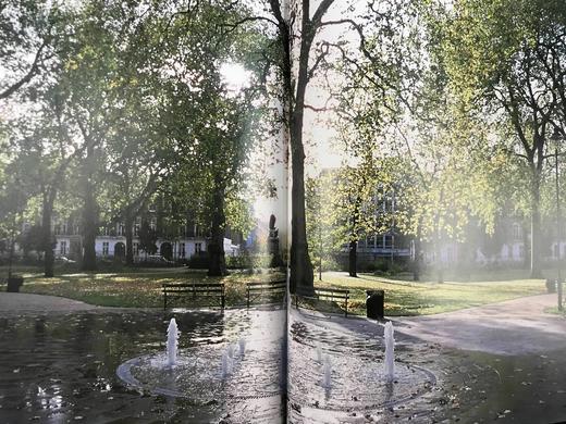 不列颠群岛自然史 约200幅插图 精装16开 商品图9