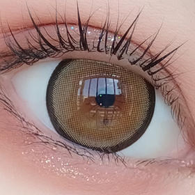 #盐柠珍宝珠 棕色【 一片装】超大染色 / 敏感眼 / 年抛