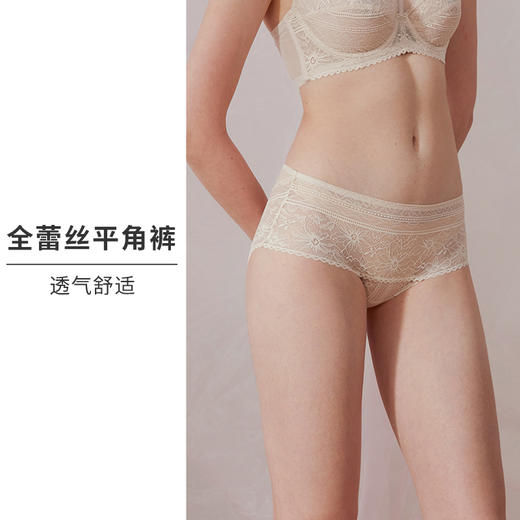 HSIA遐内裤女夏薄款全蕾丝性感无压清爽透气纯棉裆底中高腰平角裤 商品图1