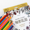 【套装】魔法森林+秘密花园48色彩色铅笔 商品缩略图9