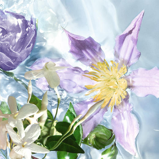 娇兰（Guerlain）花草水语淡香水（芳野仙踪）75ml 商品图2